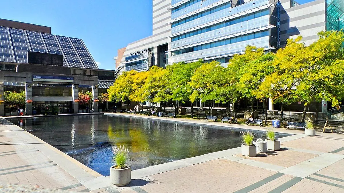 民宿 Beautiful Room At Yonge And Sheppard And North York Centre 多伦多